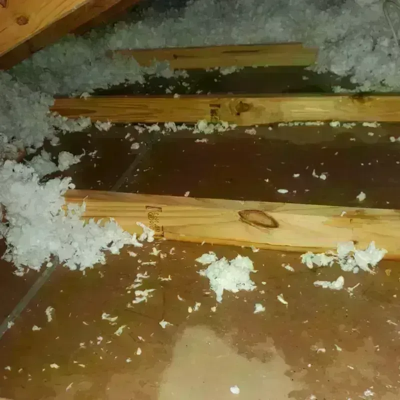 Attic Water Damage in Newell, WV